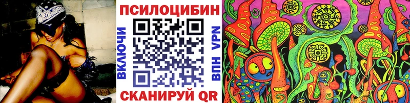 Галлюциногенные грибы Psilocybine cubensis Ухта